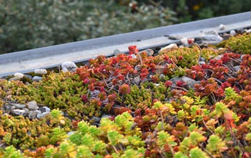 the cost of Mayes Green green roof installation