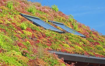 Mayes Green living roof systems